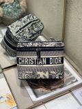 商品Alt模板：Dior oblique - xtest