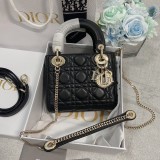商品Alt模板：Dior Lady - xtest